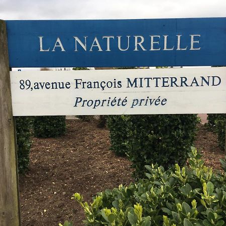 Vue Mer Sur La Cote D'Opale, Studio La Naturelle Pour 4 Personnes , Wimereux Eksteriør bilde